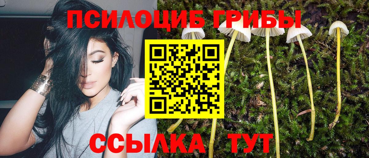 Псилоцибиновые грибы MAGIC MUSHROOMS Зеленодольск